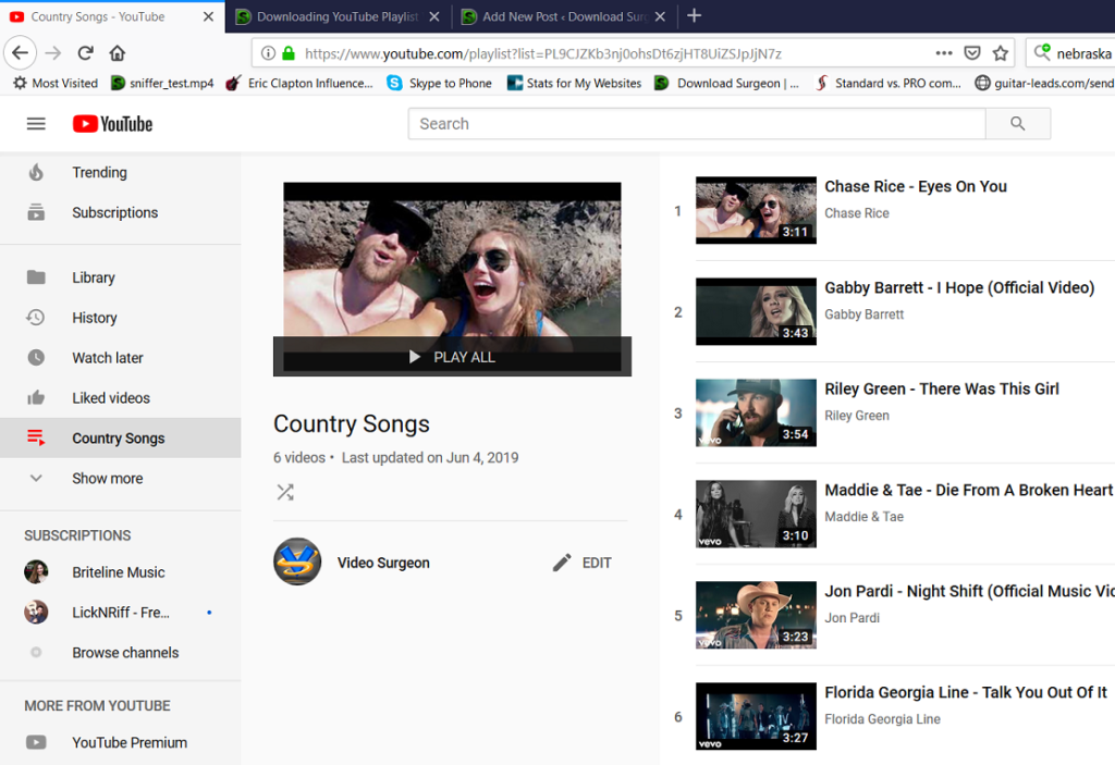 online youtube playlist video downloader